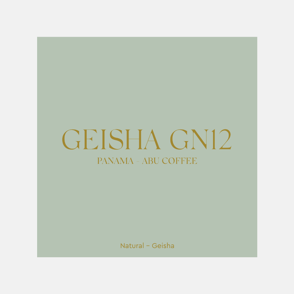 GN12 IMAGE